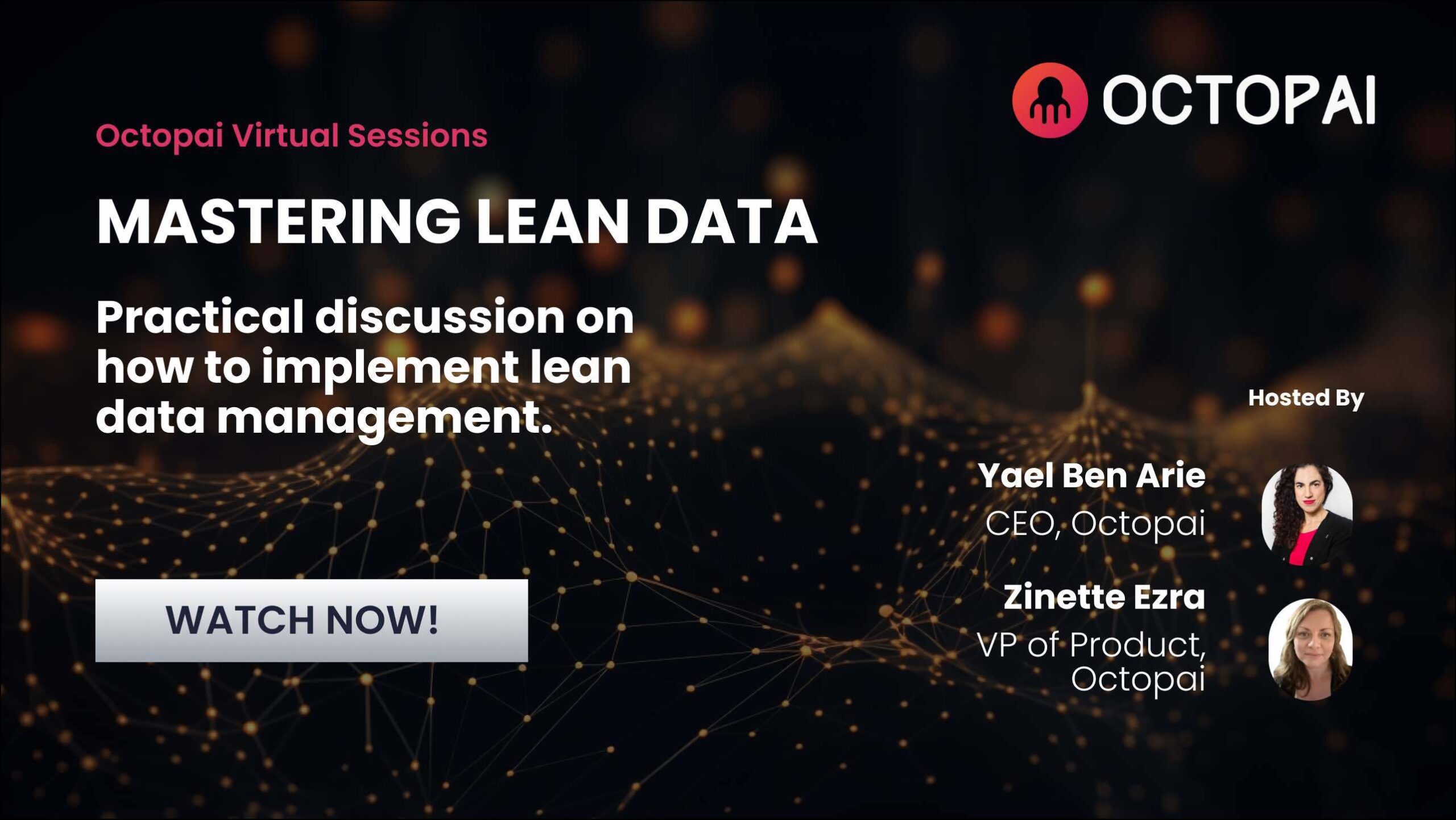 Mastering Lean Data - transform data chaos into organized efficiency