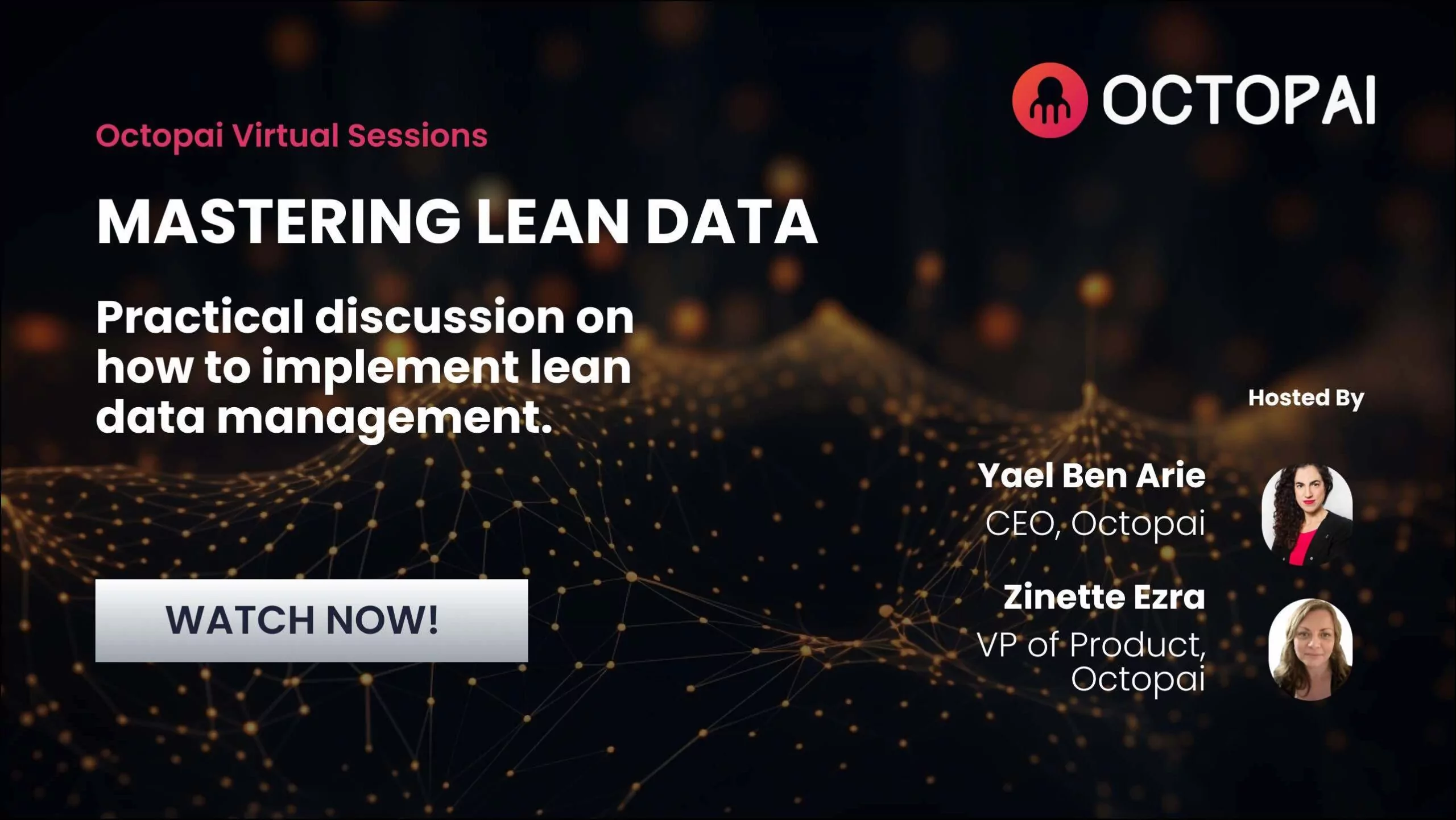 Mastering Lean Data - transform data chaos into organized efficiency